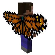 Modelos Elytra
