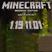 Minecraft 1.19.11.01