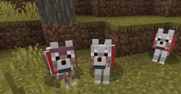 Minecraft 1.20.60.04