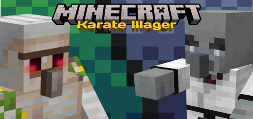 ~Karate Illager~