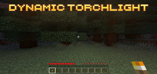 Dynamic Torchlight